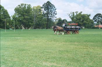 Traditional Signs Ross' Lorry  027_25